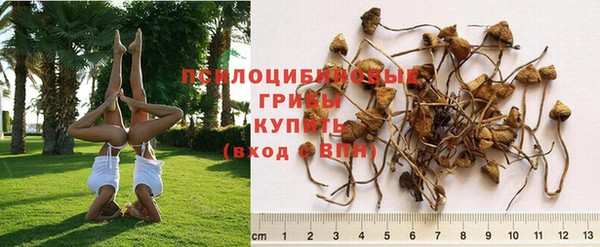 таблы Арсеньев