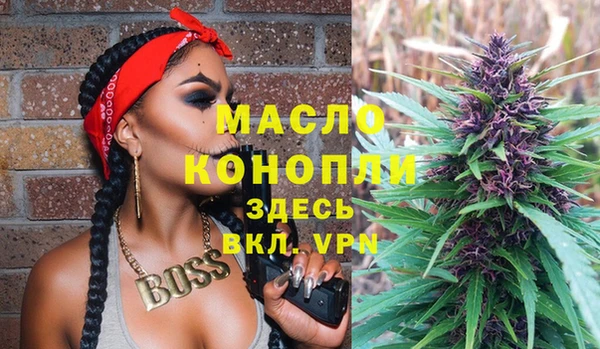 сатива Беломорск