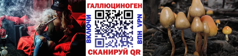 Купить где  Циолковский  Галлюциногенные грибы мухоморы 